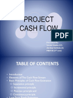 Final Project Cash Flows