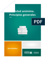 Sociedad Anónima. Principios Generales