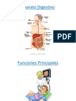 Aparato Digestivo