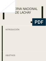 Reserva Nacional de Lachay