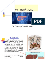 Perfil Hepatico Exp 2016