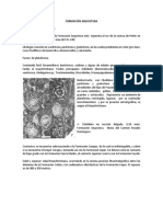 Formacion Angostura y Chemal