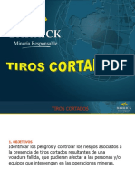 Tiros Cortados 2007