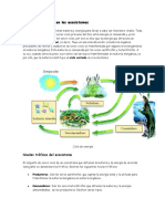 Materia y Energía en Los Ecosistemas