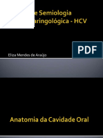 Anatomia e Fisiologia Cavidade Oral Anatomia e Fisiologia Cavidade Oral Anatomia e Fisiologia Cavidade Oral