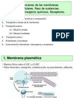 Membrana Celular