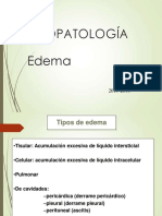 4 1P Edema FP