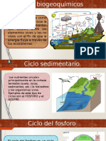 Ciclo Del Fosforo 1