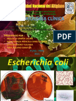 Bacteriologia Clinica