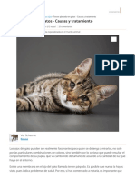 Tercer Párpado en Gatos - Causas y Tratamiento PDF