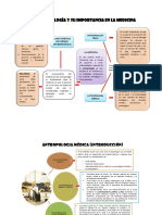 La Antropología Y Su Importancia en La Medicina: Campos Antropo Lógicos