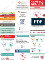 Triptico PA Quemaduras PDF