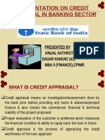 Presentation On Credit Appraisal in Banking Sector