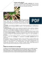 Cuál Es La Relación Entre Ecología y Medio Ambiente