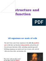 Cell Structure and Function