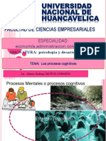 Procesos Cognitivos PSICOLOGIA