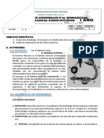 Modulo N°15-Biomoléculas - Orgánicas-Ácidos Nucleicos