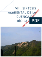 Rio - La Mie - VIII. Sintesis Ambiental La Miel