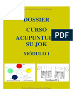 Dossier - Curso Acupuntura Su Jok