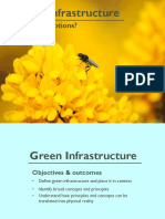 Green Infrastructure: Mitigation Options?