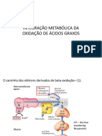 Aula 3.9 Beta - Oxidação Regulação