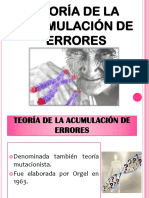 Teoria de Acumulacion de Errores-Marilyn Garate