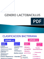 Genero Lactobacillus