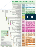 Angiosperm Phylogeny: Flowering Plant Systematics