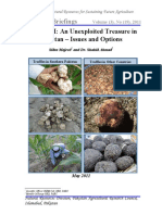 Truffles Research Briefings 191 PDF