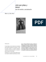 Dialnet LaContaminacionPorPilasYBateriasEnMexico 2882551 PDF