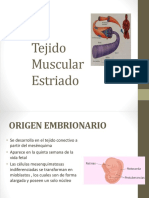 Tejido Muscular Estriado 