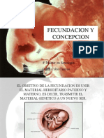 Fecundacion y Concepcion