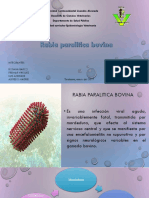 Rabia Paralitica Bovina