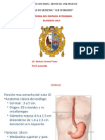 Esofago Estomago Duodeno