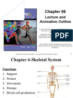 Lecture and Animation Outline