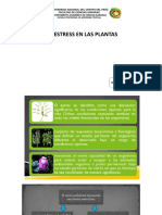 Presentación-10-Fisiología Vegetal