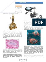 Apuntes Microscopía