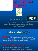 4840 - Conduct of Normal Labor and Delivery