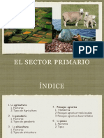 El Sector Primario. Agricultura y Ganadería