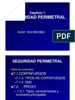 Presentacion Cap7-Seguridad Perimetral