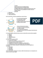 Preguntas Embriologia Del Sistema Nervioso