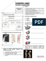 Taller Sistema Óseo