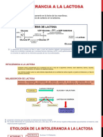 Intolerancia A La Lactosa - Completo
