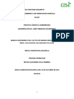 Programación de Nuestra Gran Feria Patronal Aldea Santa Odilia Te Esperamos No Faltes