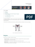 Femoral Triangle