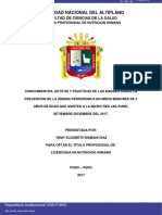 Conocimientos, Actitud y Practicas de Las Madres Sobre La Prevencion de La Anemia Ferropenica en Niños Menores de 5 Años de Edad Que Asisten A La Micro Red Jae-Puno, Setiembre-Diciembre Del 2017