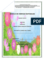 Modulo Naturales de Sexto