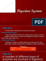 Human Digestive System Final