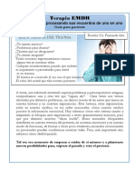 Que Es EMDR Cuadernillo para Pacientes 2017