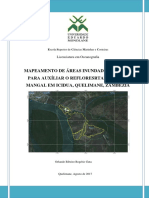 Mapeamento de Áreas Inundadas Pela Maré para o Auxiliar o Reflorestamento Do Mangal em Icidua, Zambézia-Moçambique.